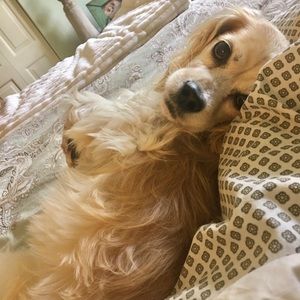 Meet your Posher, Beth